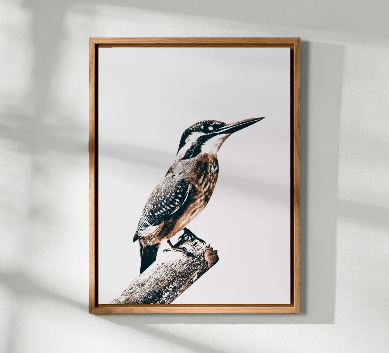 UCCELLO alluminio dibond da dada22