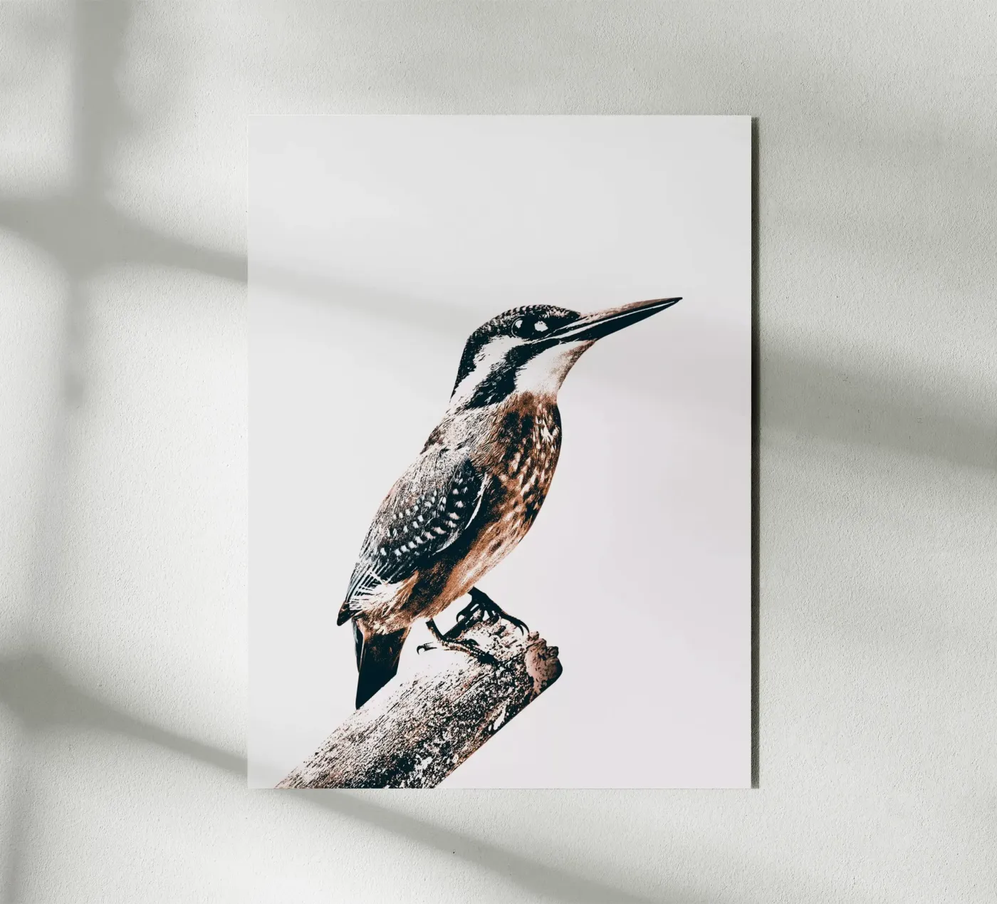 UCCELLO alluminio dibond da dada22