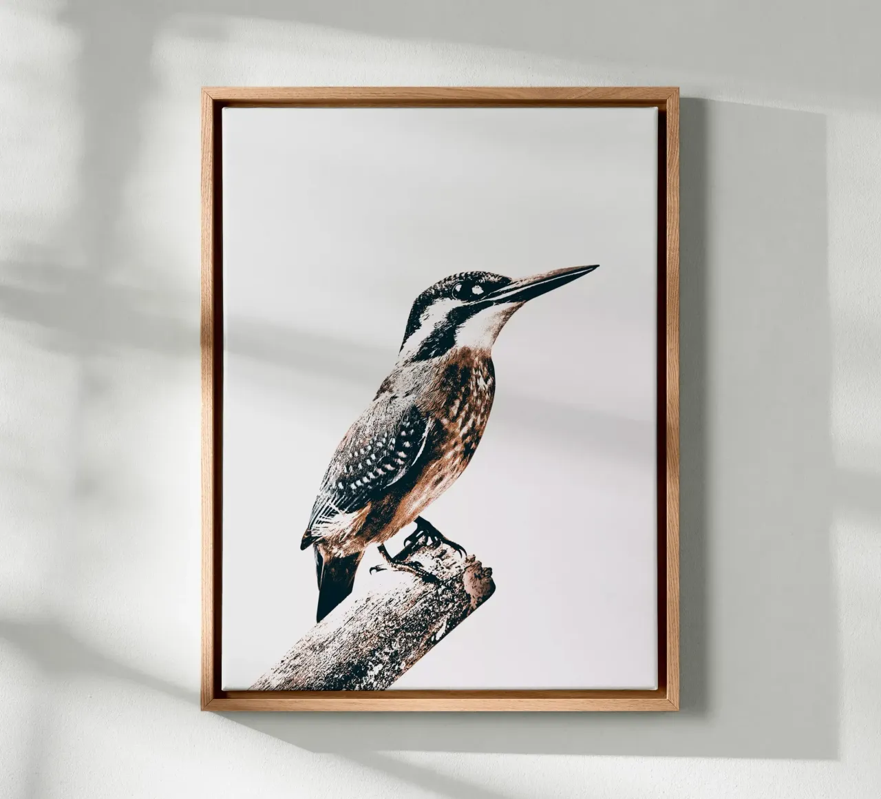 UCCELLO tela da dada22