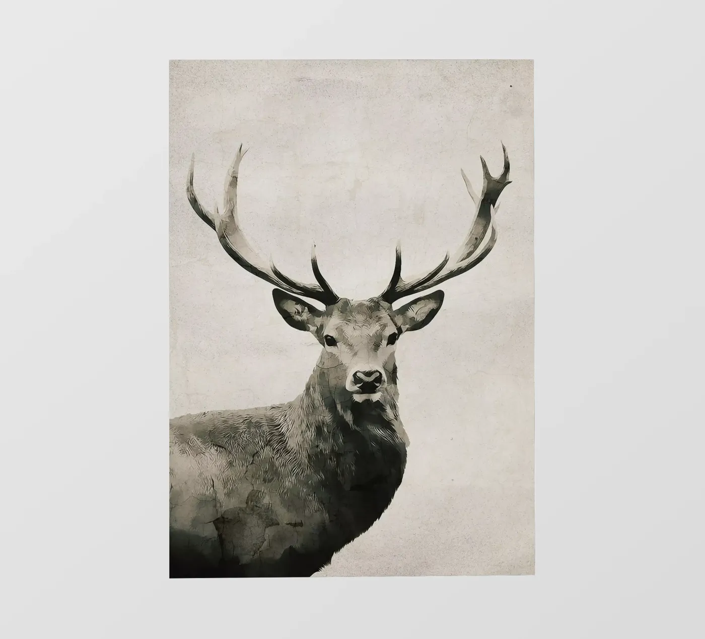 DEER photo wallpaper by dada22