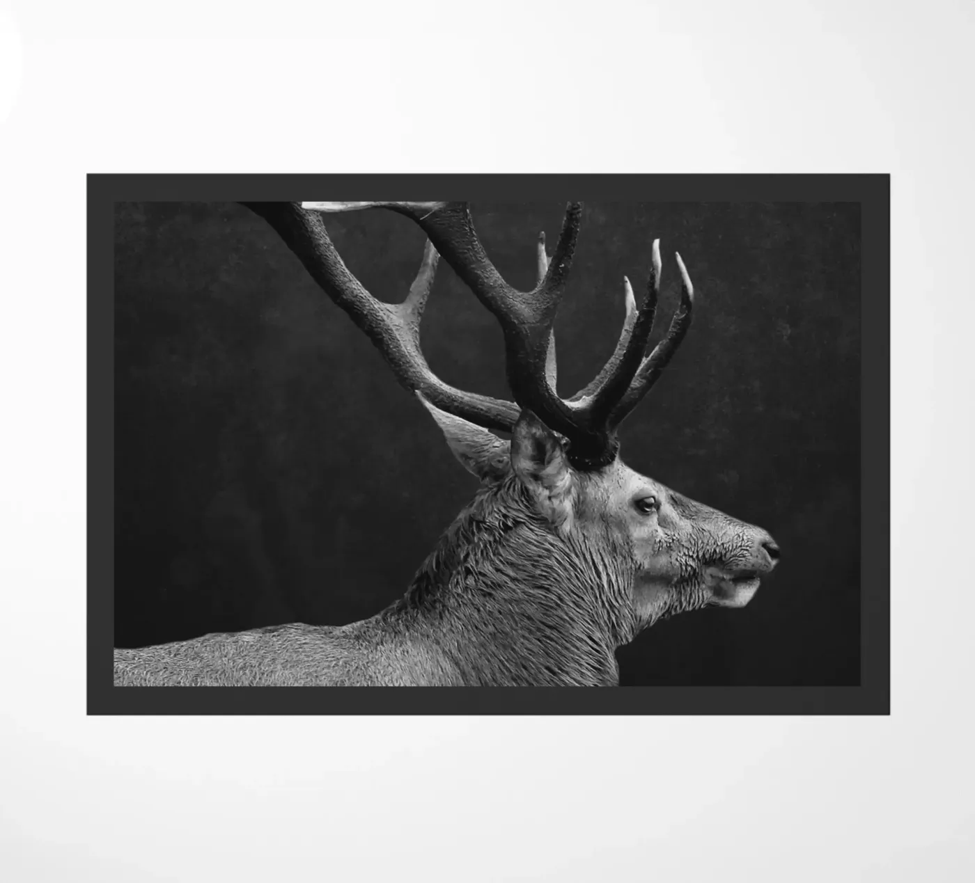 DEER 10 deurmat van dada22