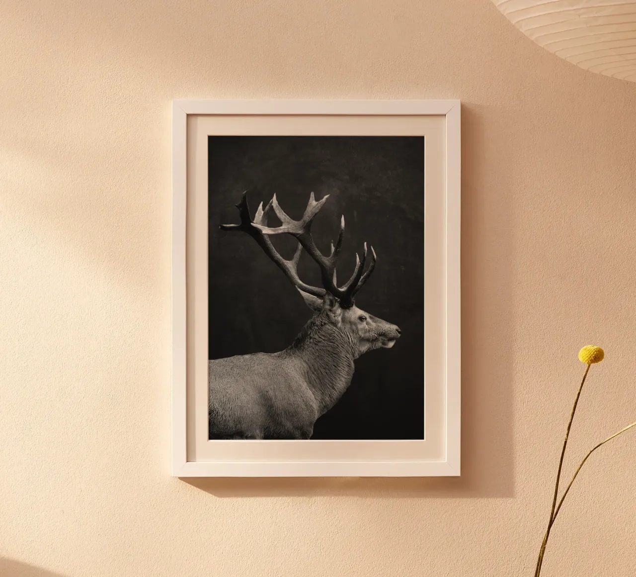 CERVO 10 poster da dada22