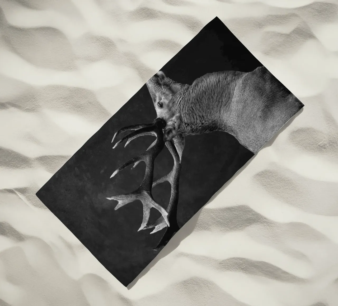 CERVO 10 telo mare da dada22