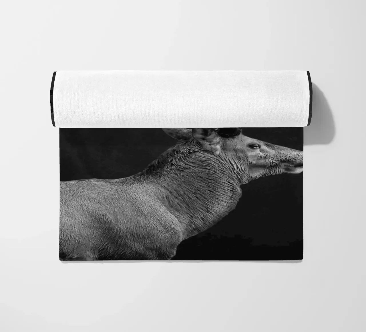 CERVO 10 telo mare da dada22