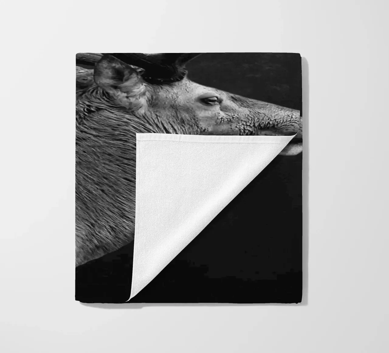 CERVO 10 telo mare da dada22