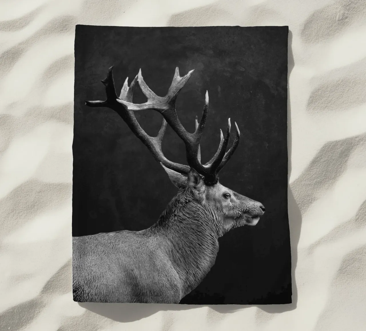 CERVO 10 telo mare da dada22