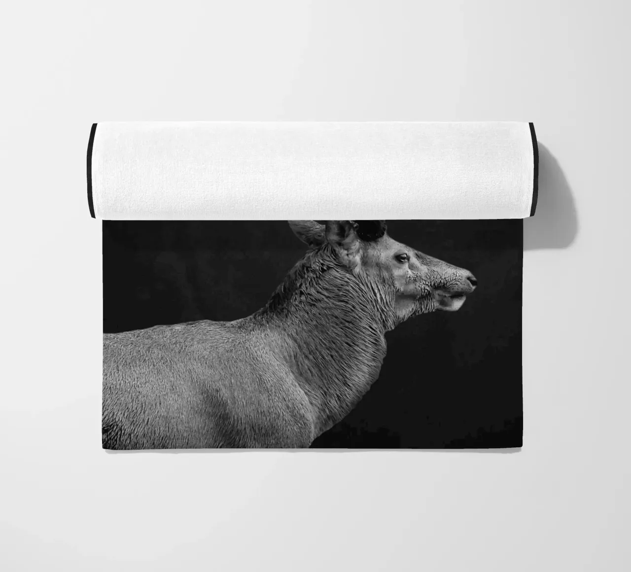 CERVO 10 telo mare da dada22