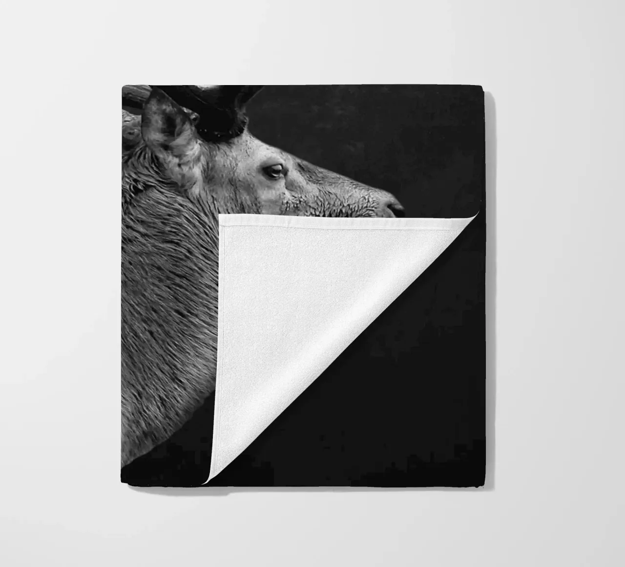 CERVO 10 telo mare da dada22