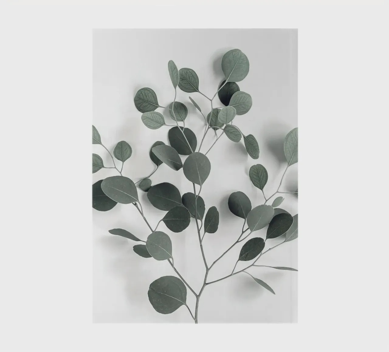 Minimalist eucalyptus design - inspired by nature notebook by Whole©