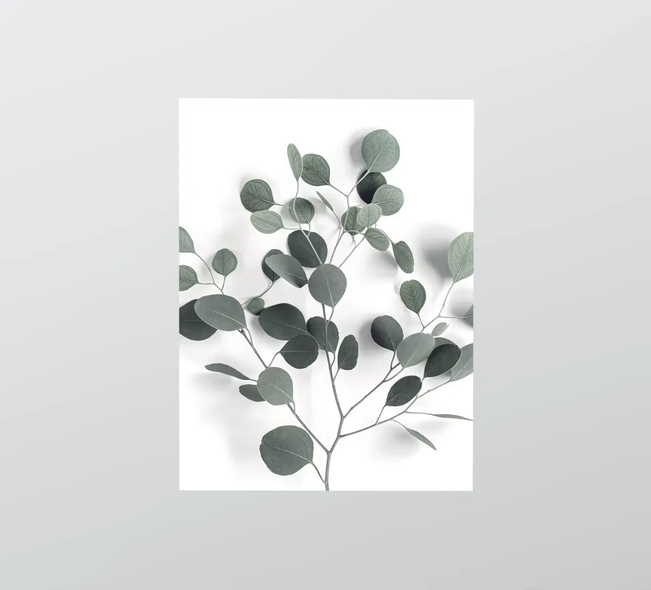 Design minimaliste en eucalyptus - inspiré par la nature autocollant de Whole©