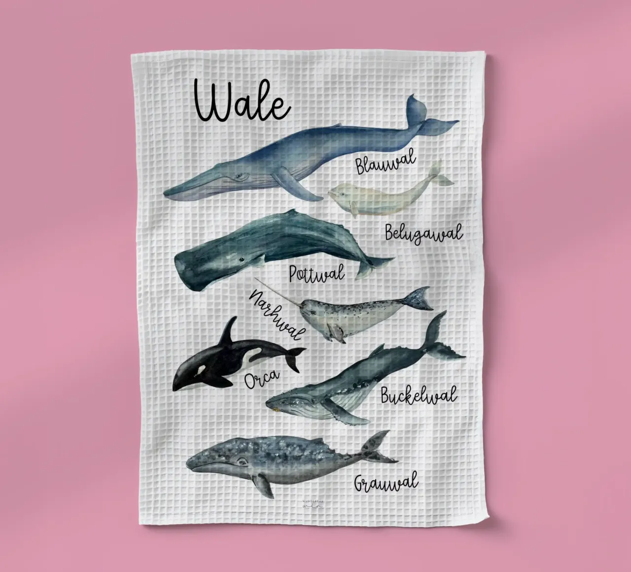 Poster balene vivaio - Tipi di balene - Poster didattico sulle balene canovaccio da cucina da Wunderbarwir