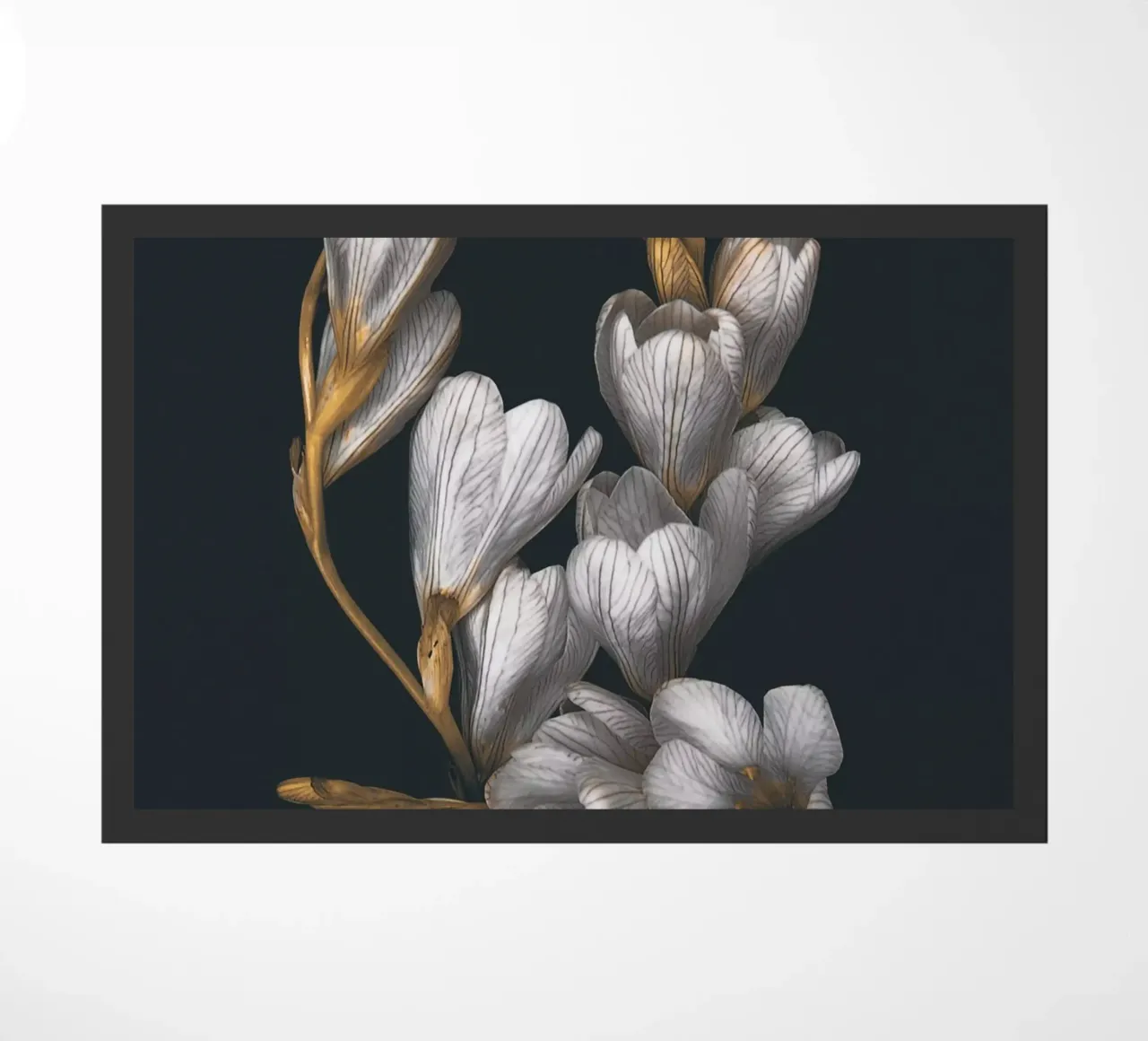 Fiori notturni zerbino da dada22