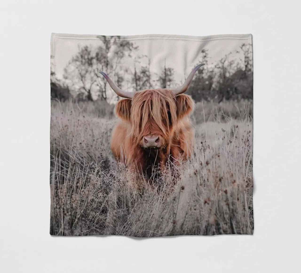 Cruella, die Highland Kuh 🐮 coperta in pile da Sibbershusum
