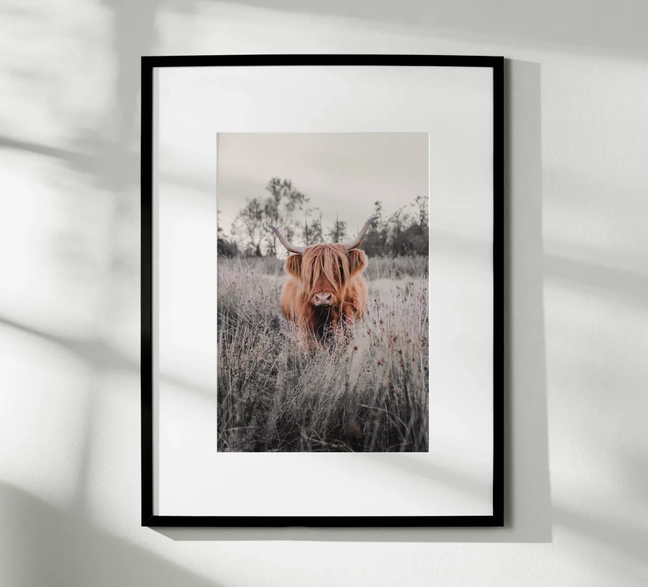 Cruella, die Highland Kuh 🐮 carta hahnemühle da Sibbershusum