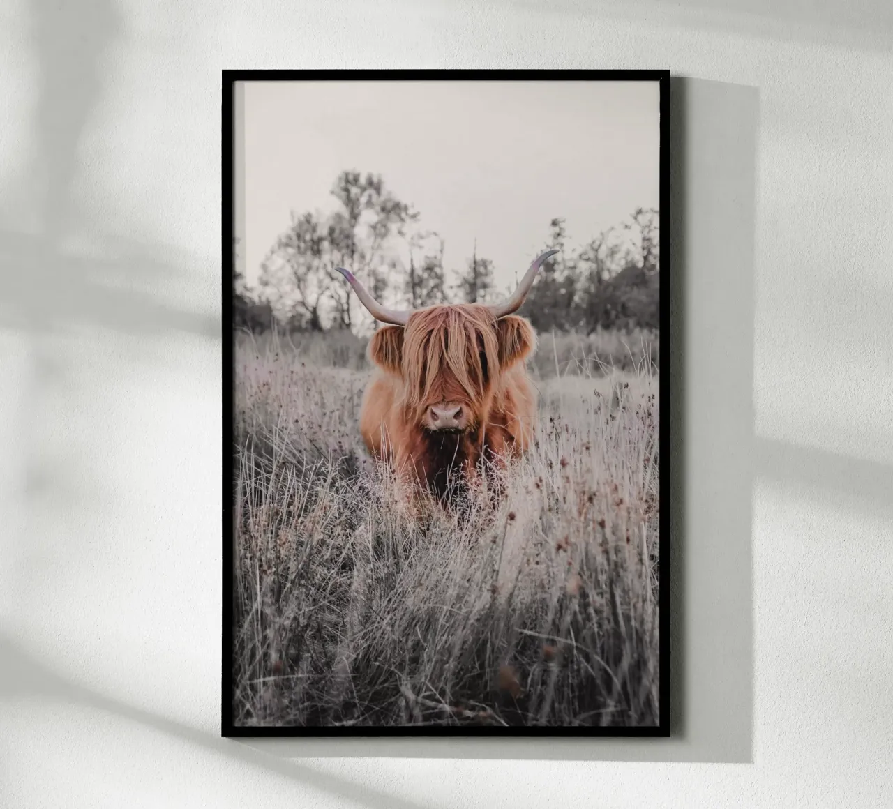 Cruella, die Highland Kuh 🐮 carta hahnemühle da Sibbershusum