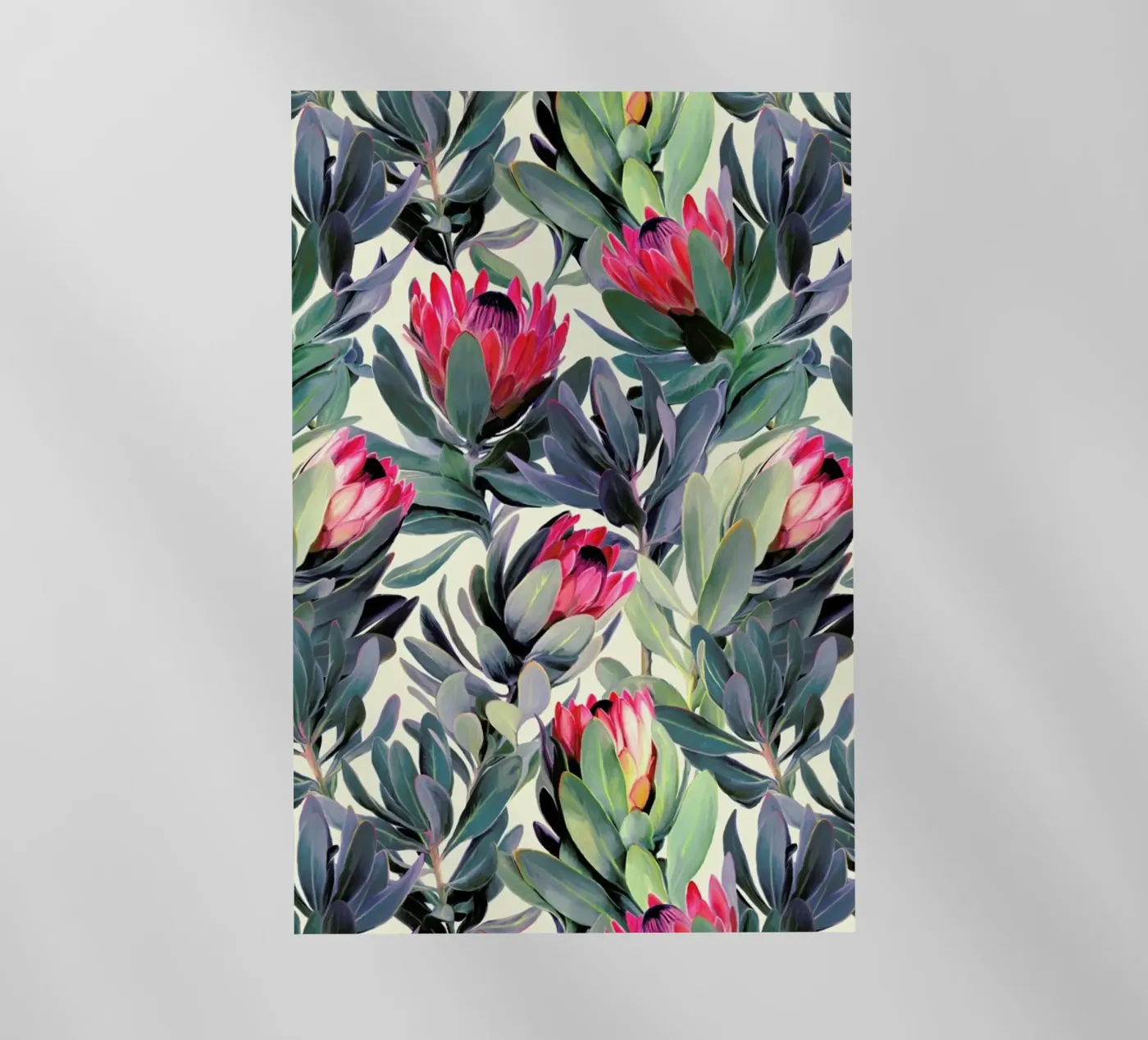 Painted Protea Pattern pellicola backlit da Micklyn Le Feuvre