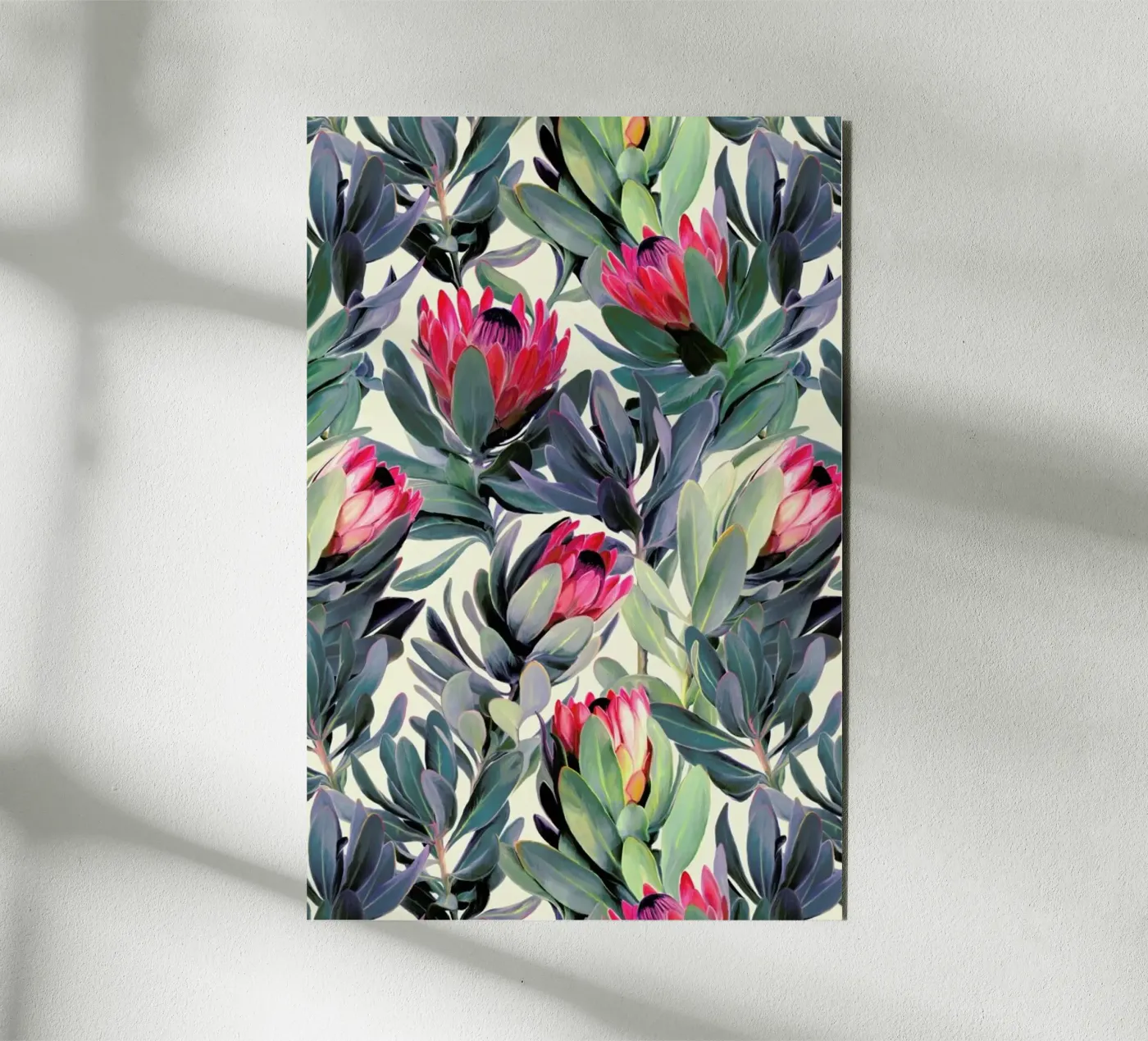 Painted Protea Pattern alluminio dibond da Micklyn Le Feuvre