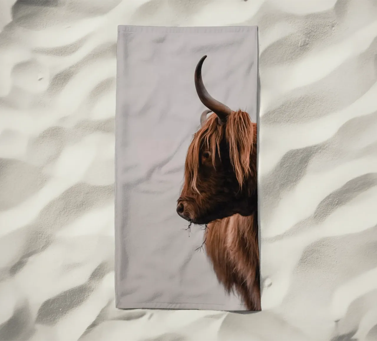 Cruellas Profil 🐮 Hochlandrind telo mare da Sibbershusum