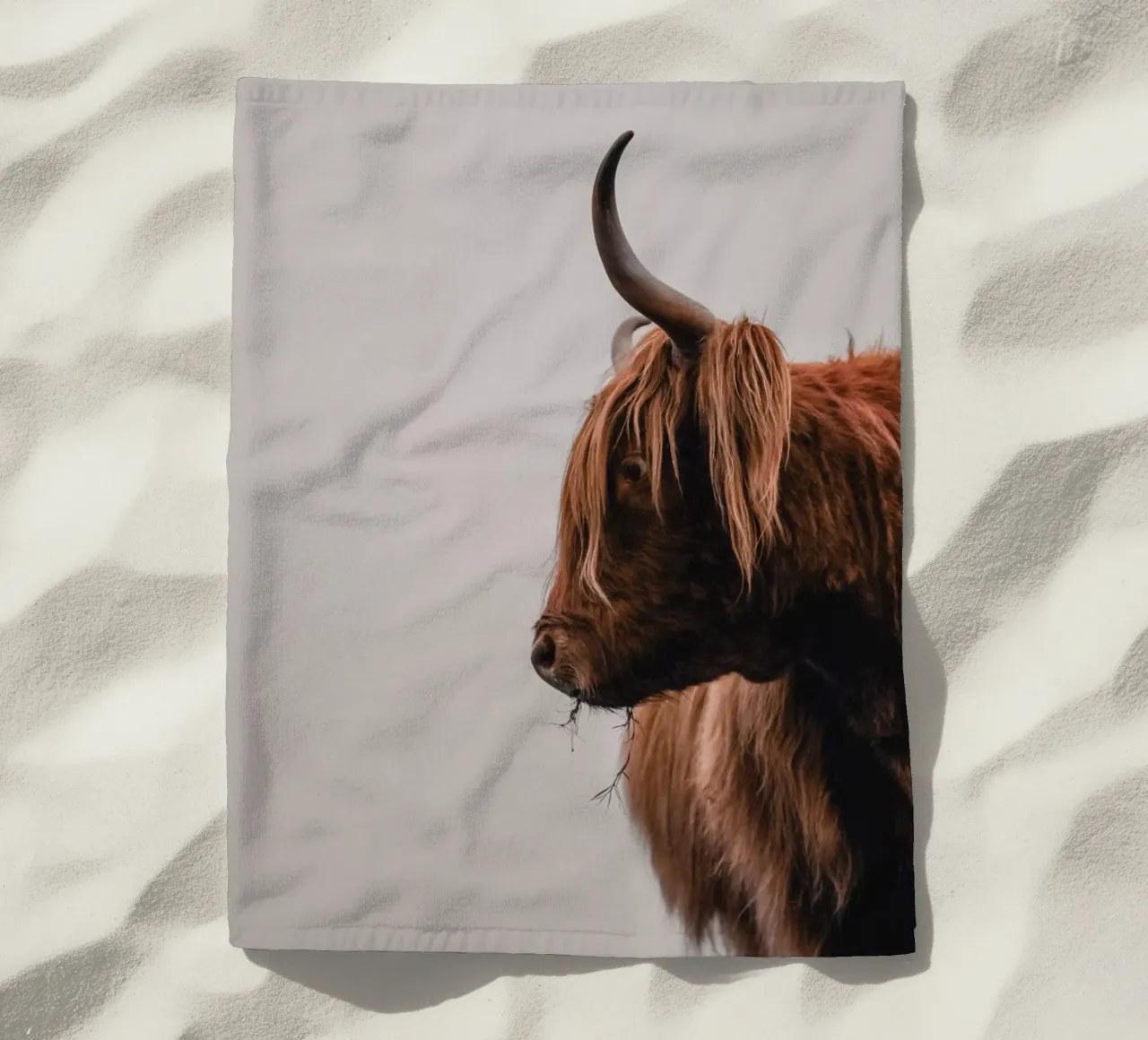 Cruellas Profil 🐮 Hochlandrind telo mare da Sibbershusum