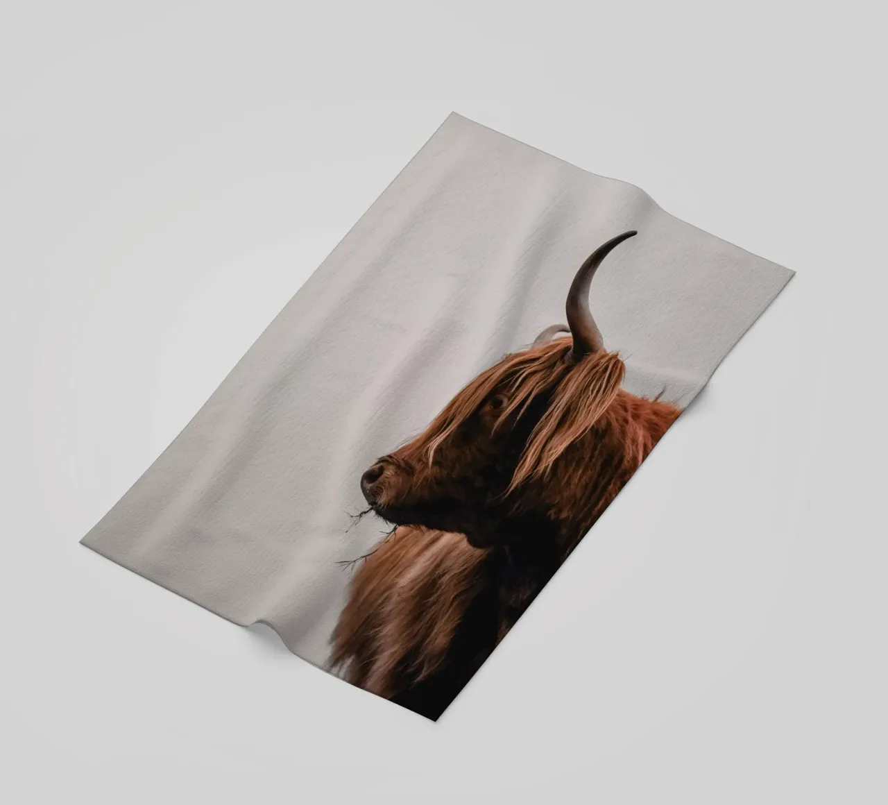 Cruellas Profil 🐮 Hochlandrind telo mare da Sibbershusum