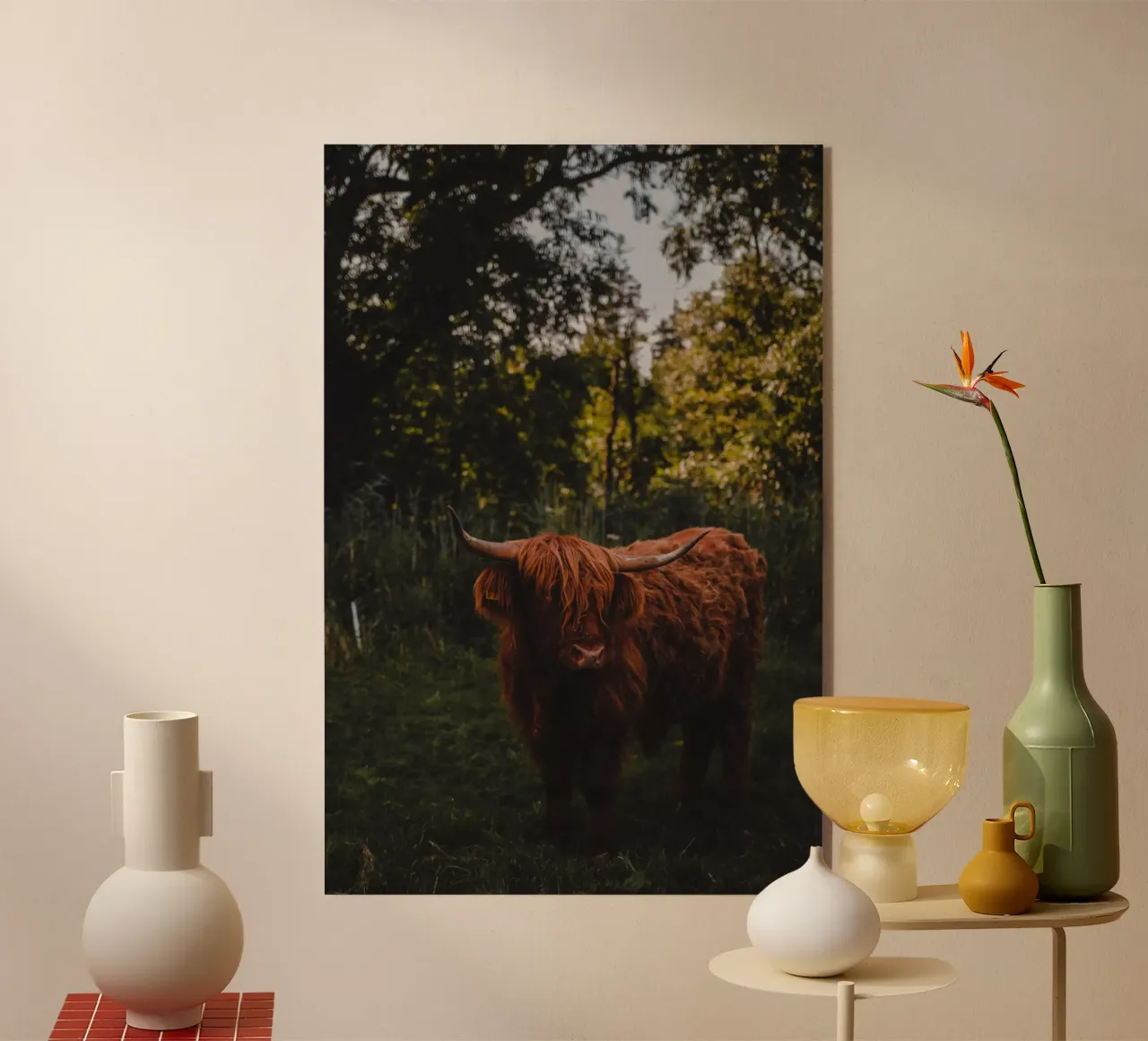 Ochse Moritz - Hochlandrind 🐮 acrylic glass by Sibbershusum