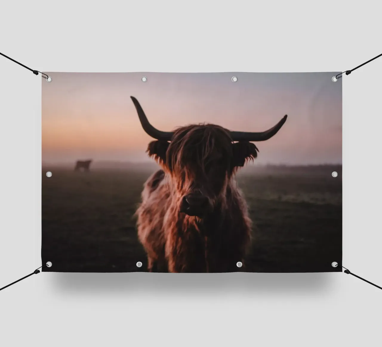 Highland Kuh Ginnie 🐮 Hochlandrind telo in pvc da Sibbershusum