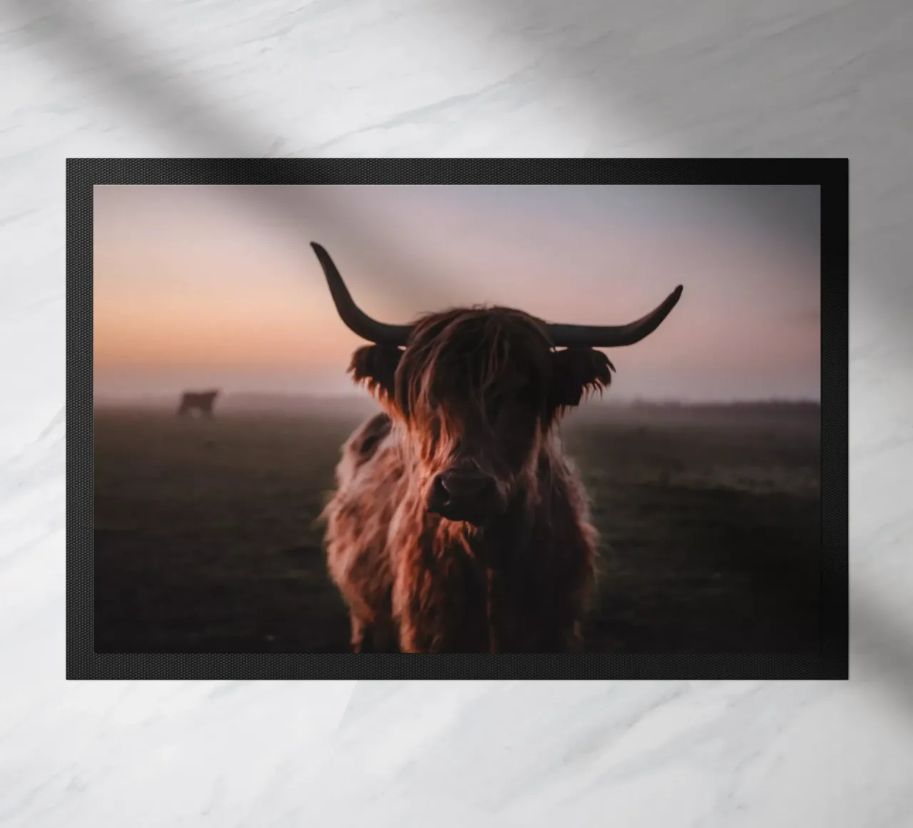 Highland Kuh Ginnie 🐮 Hochlandrind zerbino da Sibbershusum