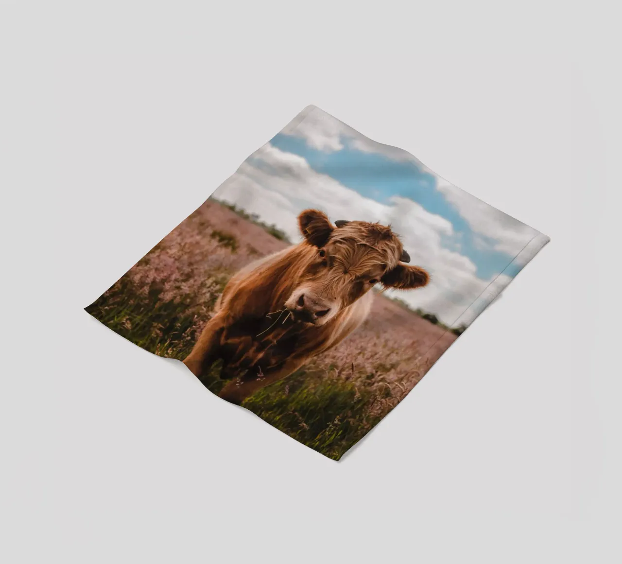 Angus Bulle Turbo 🐮 coperta in pile da Sibbershusum