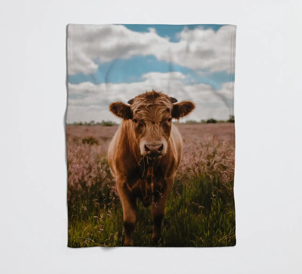 Angus Bulle Turbo 🐮 coperta in pile da Sibbershusum