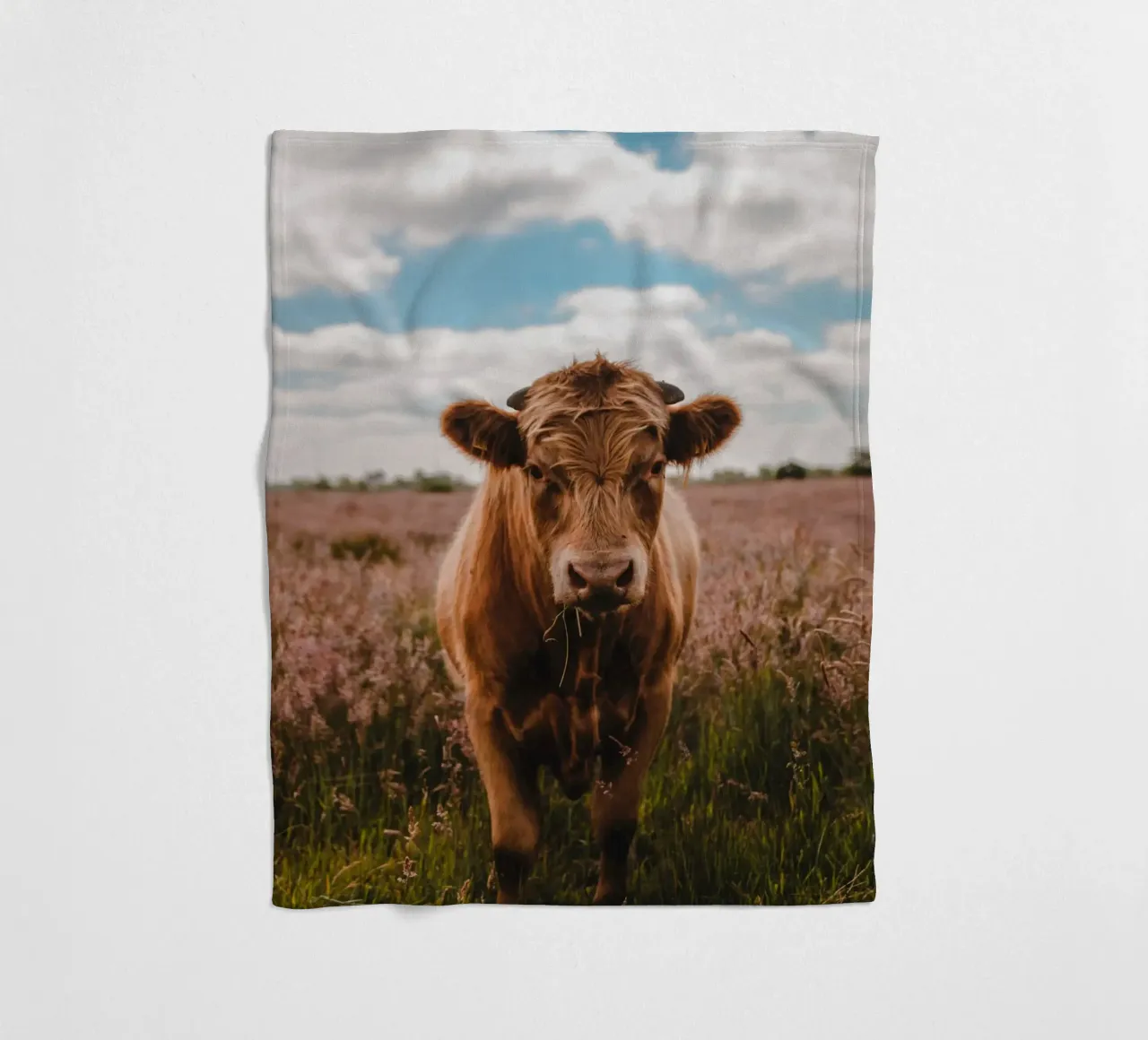 Angus Bulle Turbo 🐮 coperta in pile da Sibbershusum