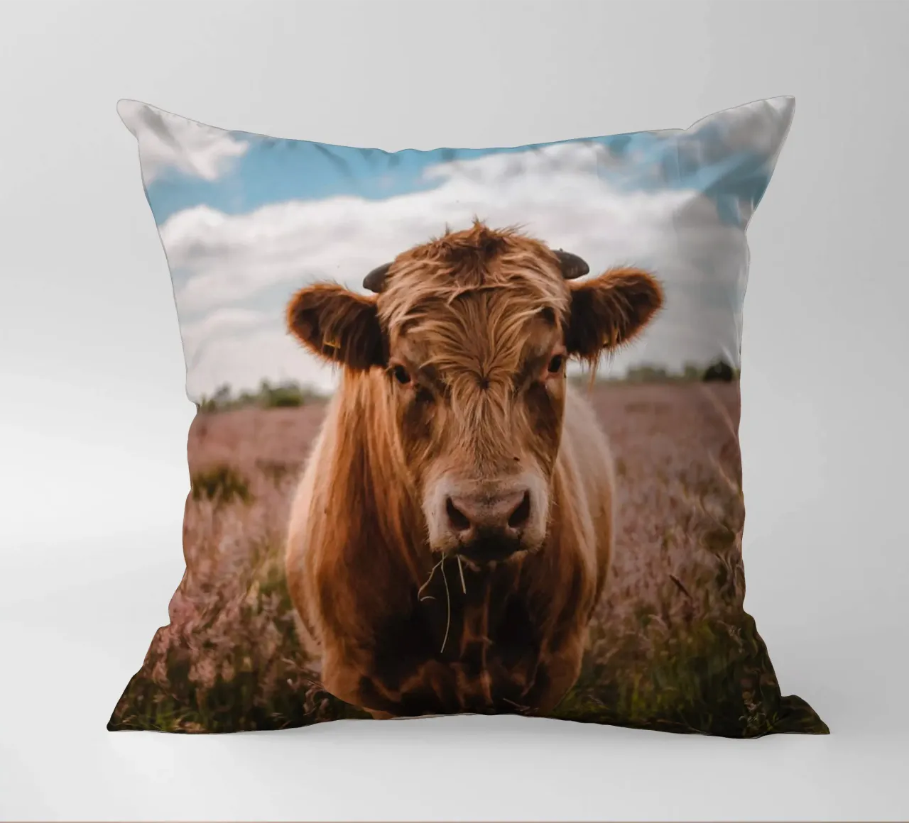 Angus Bulle Turbo 🐮 cuscino da Sibbershusum