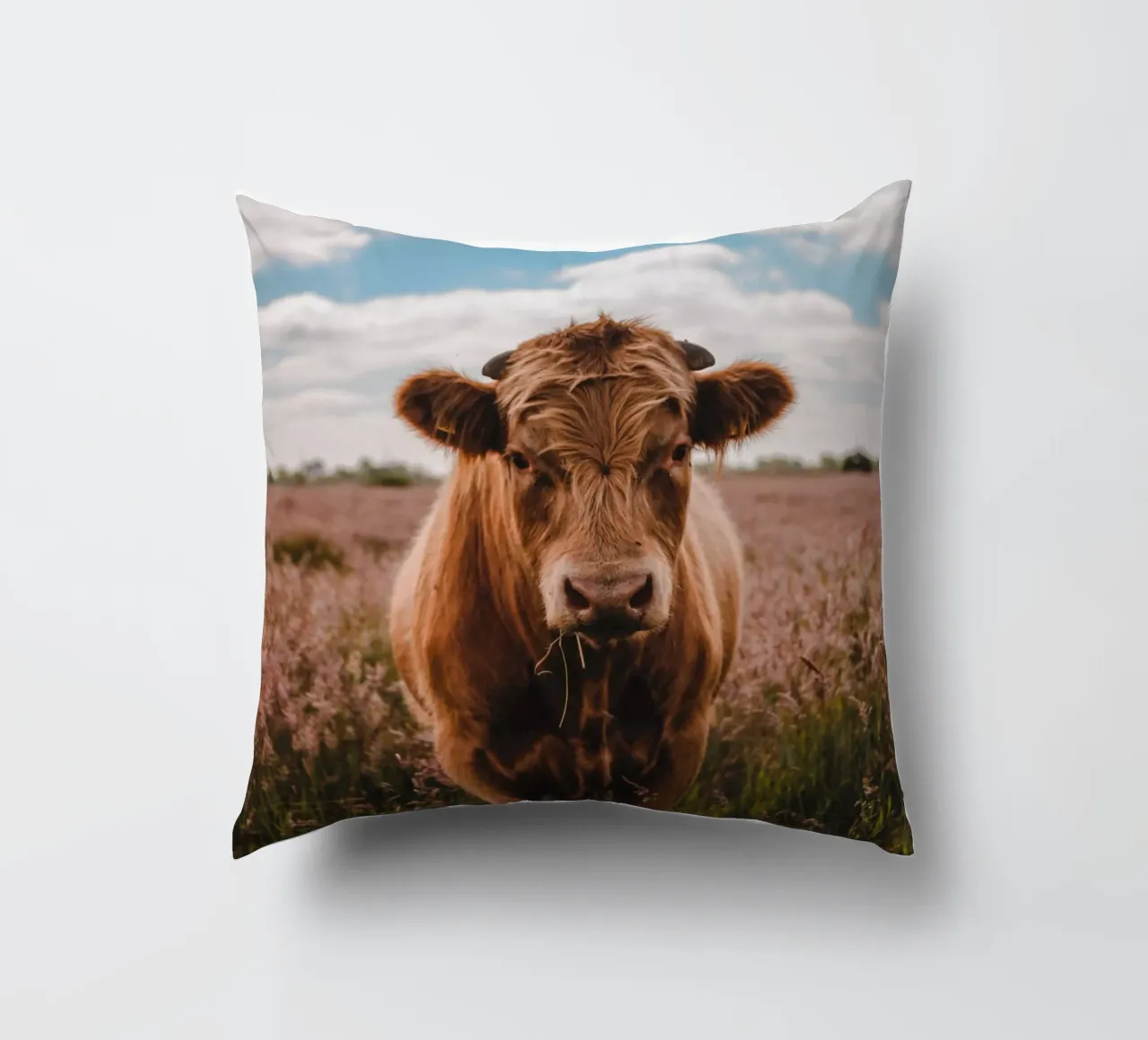 Angus Bulle Turbo 🐮 cuscino da Sibbershusum