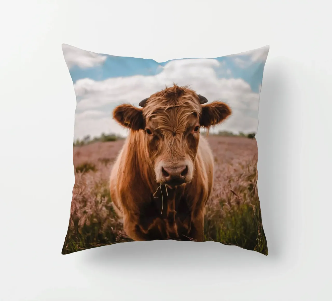 Angus Bulle Turbo 🐮 cuscino da Sibbershusum