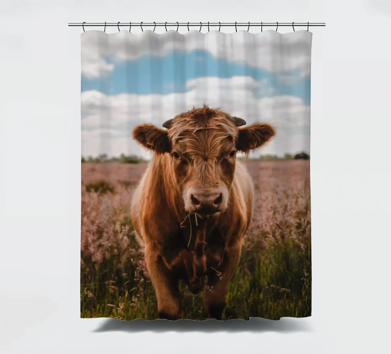 Angus Bulle Turbo 🐮 tenda da doccia da Sibbershusum