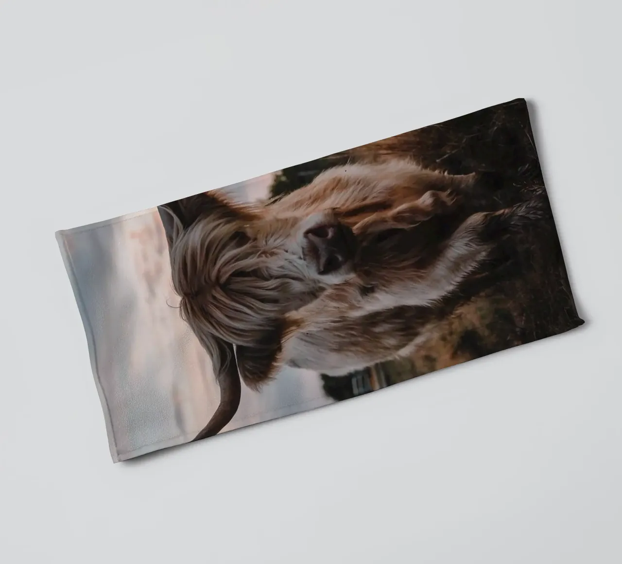Manzo Highland al dente di leone 🐮 asciugamano da bagno da Sibbershusum