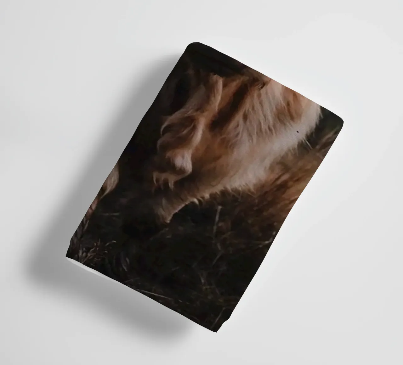 Manzo Highland al dente di leone 🐮 asciugamano da bagno da Sibbershusum