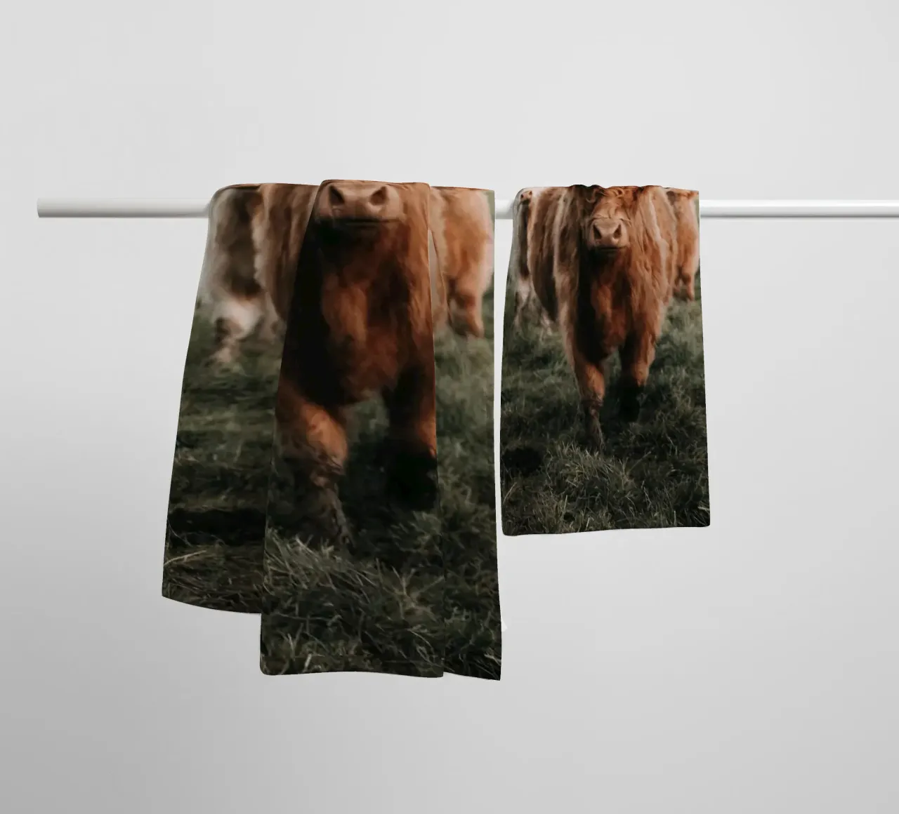 Highland cows 🐮 towel by Sibbershusum