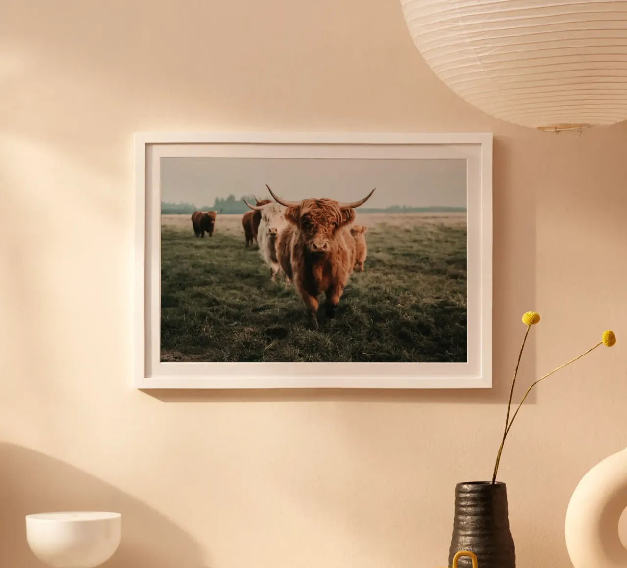 Highland cows 🐮 poster da Sibbershusum