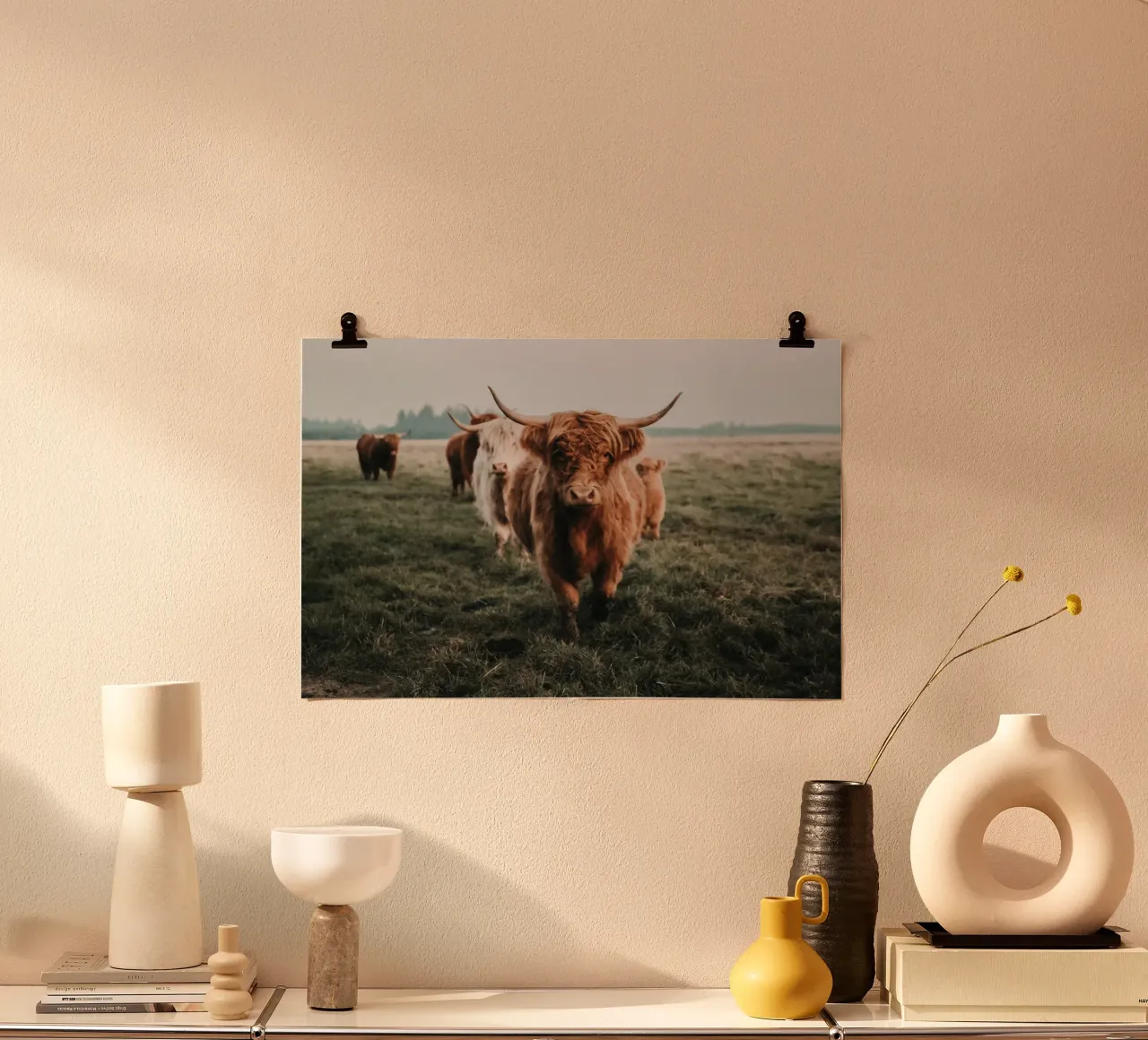 Vacche Highland 🐮 poster da Sibbershusum