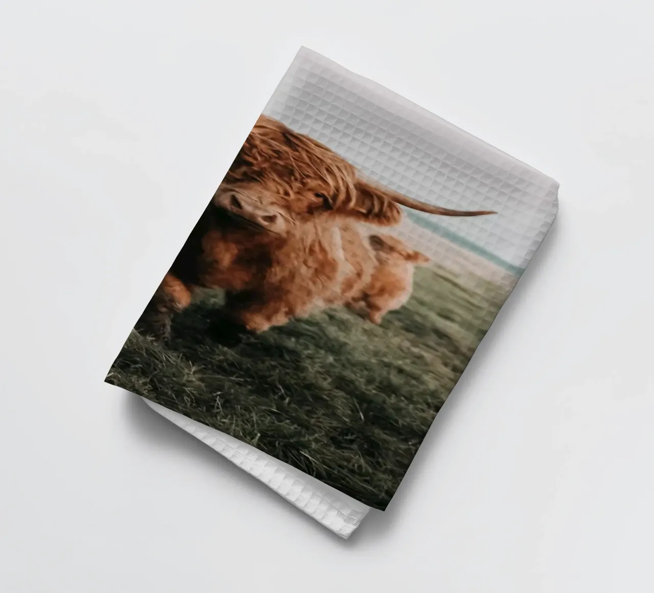 Highland cows 🐮 tea towel by Sibbershusum