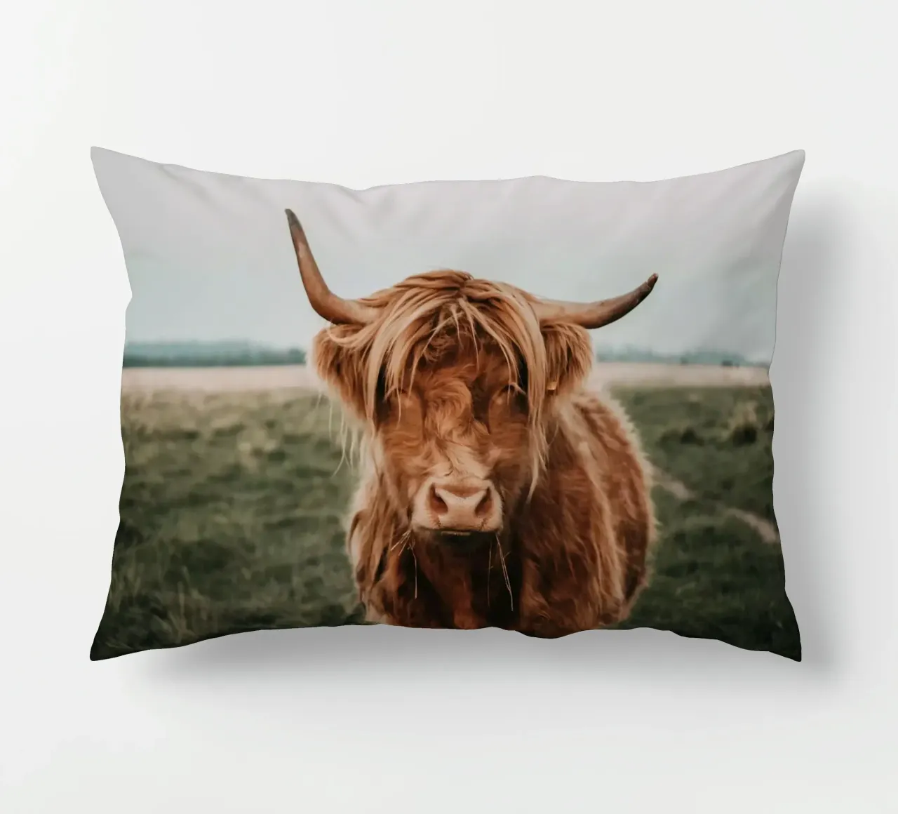 Ginnie - Bovini delle Highlands 🐮 cuscino da Sibbershusum
