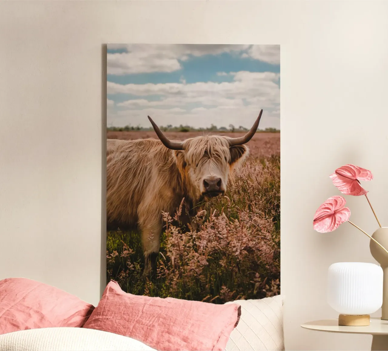 Hooglandse boterbloem 🐮 canvas met Baklijst van Sibbershusum