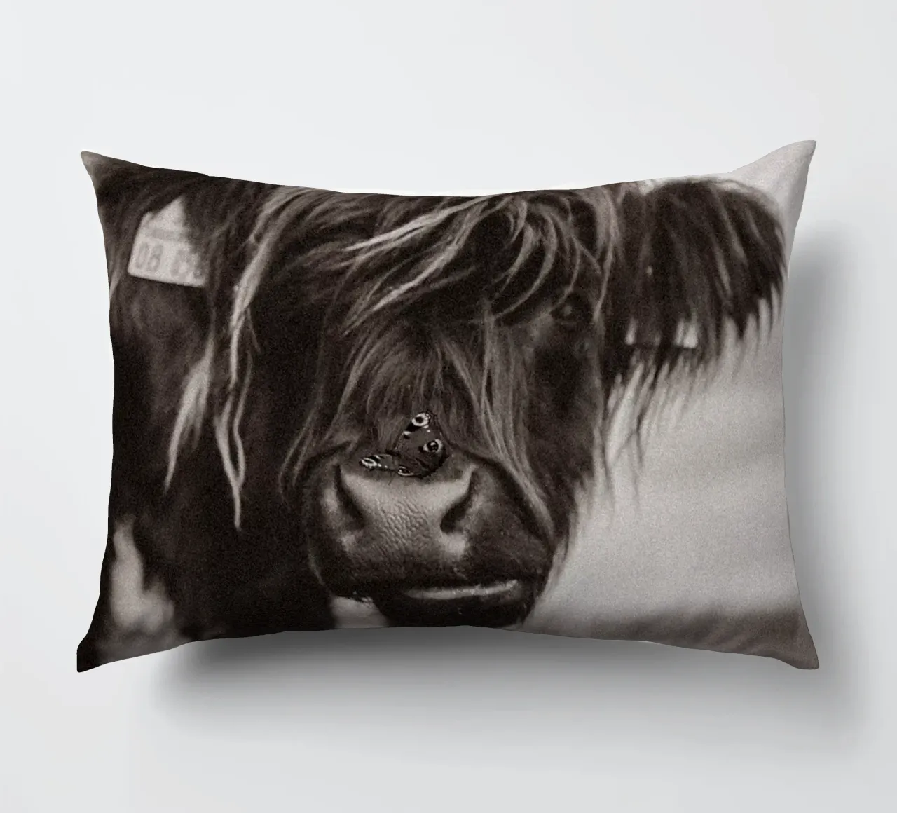 Highland Cow Lucy 🐮 🦋 cuscino da Sibbershusum