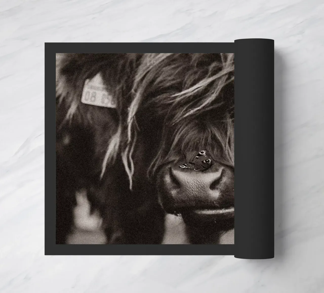 Highland Cow Lucy 🐮 🦋 zerbino da Sibbershusum