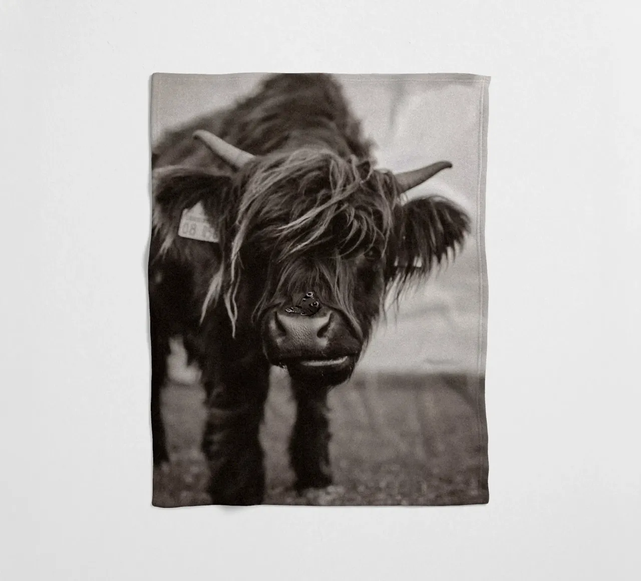 Highland Cow Lucy 🐮 🦋 coperta in pile da Sibbershusum