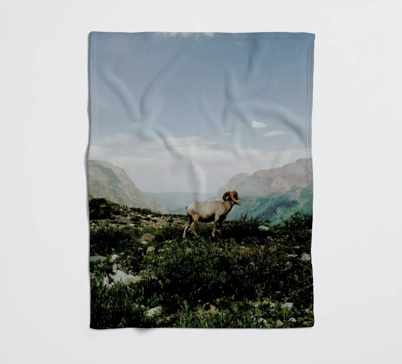 Bighorn Sheep coperta in pile da Kevin Russ
