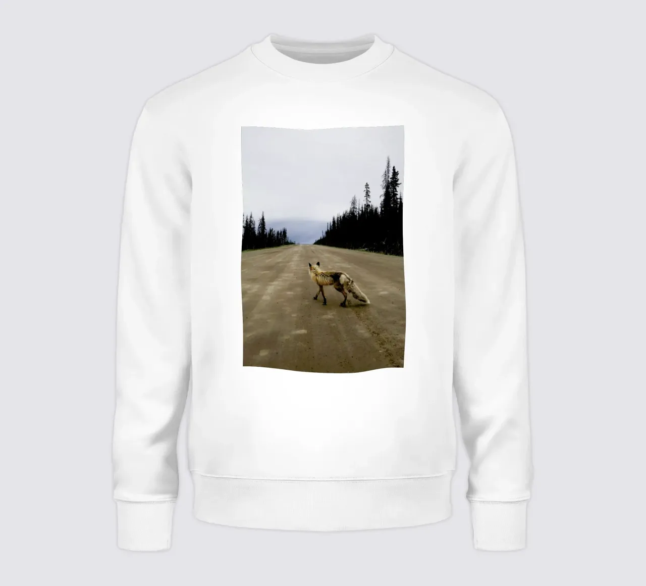 Road Fox felpa da Kevin Russ