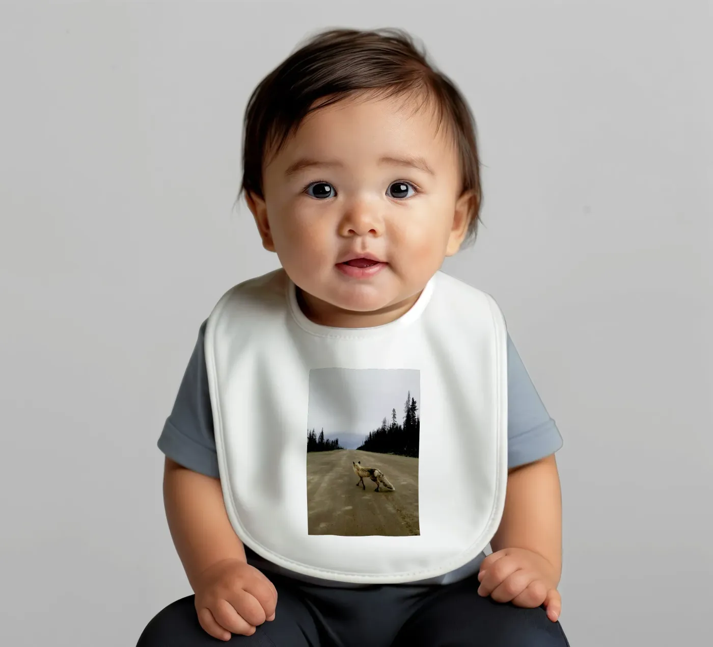 Road Fox bavaglino da Kevin Russ