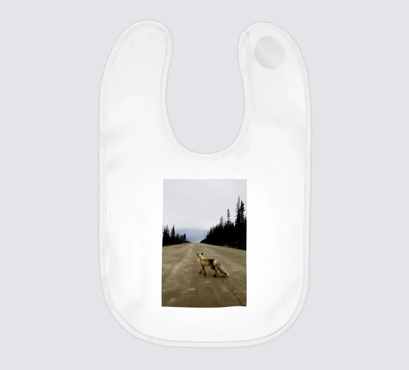 Road Fox bavaglino da Kevin Russ