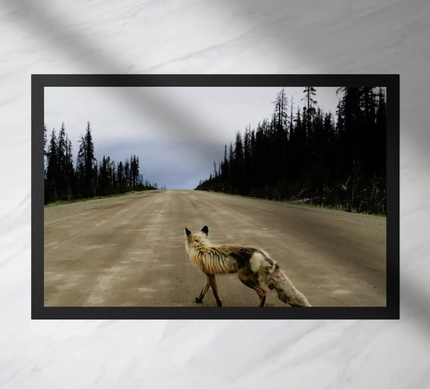 Road Fox zerbino da Kevin Russ